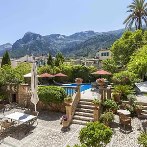 The Salvia - Adults Only **** Sóller